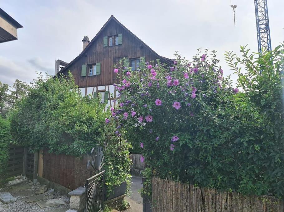 3 Bedroom Swiss House On 3 Floors Oberglatt Exterior foto
