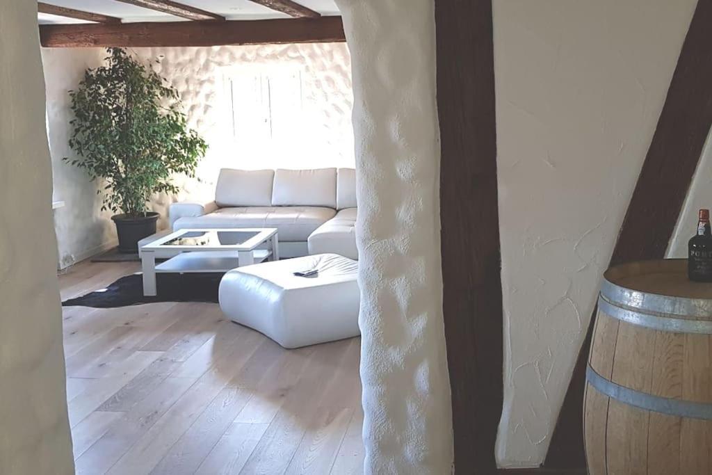 3 Bedroom Swiss House On 3 Floors Oberglatt Exterior foto